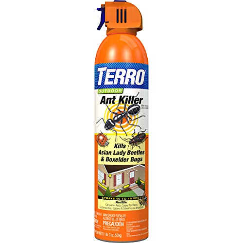 TERRO T1700 19 oz. Outdoor Ant Killer Spray, 1 Pack