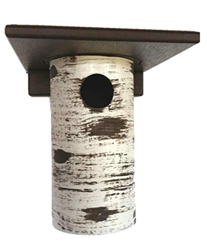 DutchCrafters Gilbertson Pole Mount Bird House with Removable Roof for Wild Birds, Plastic Poly - Amish Made in America (Bluebird - 1 1/2")