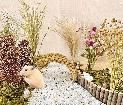 Hamster Bedding, Natural Hamster Bedding Flowers Herbs Cereal Grain For House Cage Habitat Enclosure Decor- Hamster Chews for Gerbils Mouse Rat Lemming Degus Guinea Pig or Small Animal Bedding Pets