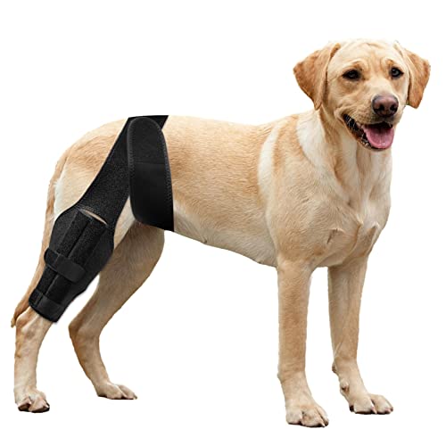 soundfuse Dog Knee Brace, Leg Brace for ACL with Cruciate Ligament Injury, Joint Pain and Muscle Sore, Adjustable Dog Rear Leg Bracer Support for Knee Cap Dislocation, Pet Knee Brace(Size: S)