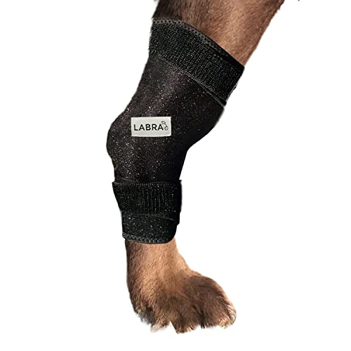 Labra Dog Canine K9 Ice Heat Cold Hot Pack Therapy Compression Leg Wrap - Pain Relief Arthritis Brace for Sprained, Injured Joints, Vet Approved - Small