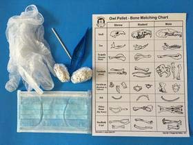 Owl Pellet Dissection Kit Individual