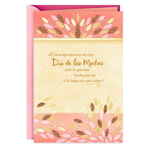 Hallmark VIDA Spanish Mothers Day Card for Mom (How Can I Thank You?) (0599MBC9805)