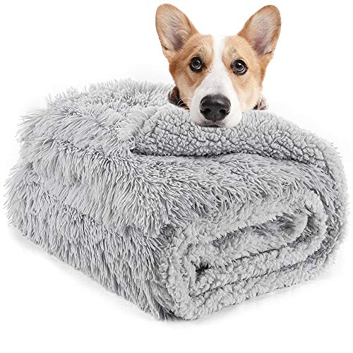 LOCHAS Luxury Fluffy Dog Blanket, Extra Soft and Warm Sherpa Fleece Pet Blankets for Dogs Cats, Plush Furry Faux Fur Puppy Throw Cover, 20''x30'' Gray