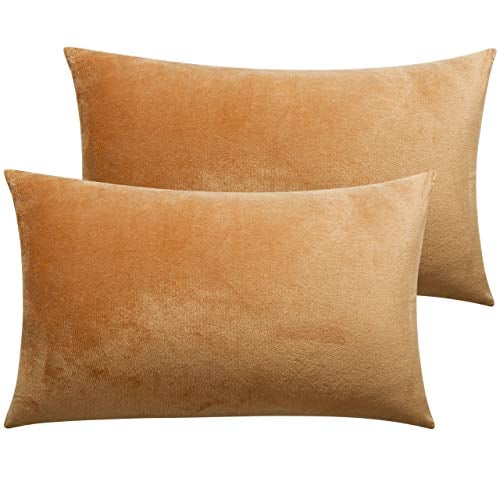 NTBAY 2 Pack Zippered Velvet Queen Pillowcases, Super Soft and Cozy Luxury Fuzzy Flannel Pillow Cases with Zipper, 20x30 Inches, Camel