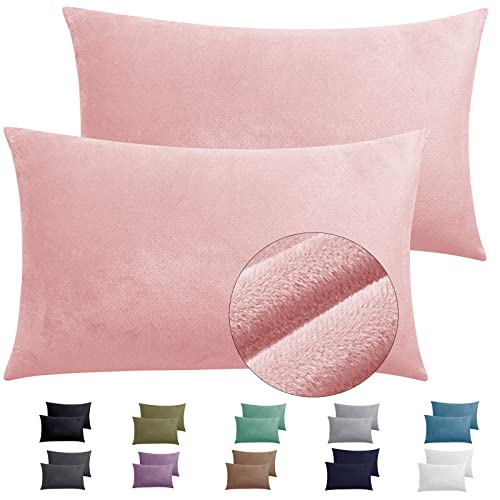 2 Pack Zippered Velvet Standard Pillowcases, Super Soft and Cozy Luxury Fuzzy Flannel Pillow Cases with Zipper, 20x26 Inches, Pink