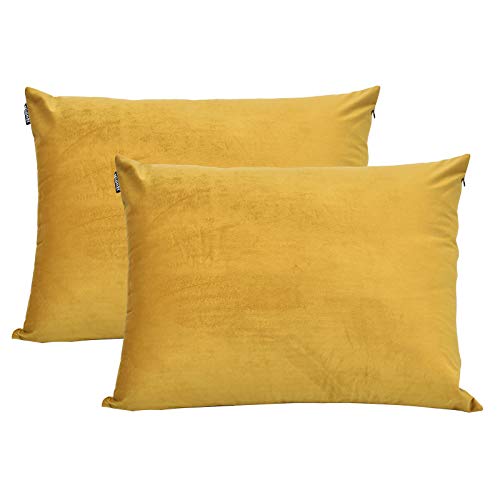 NianEr Fall Winter Velvet Pillowcases Set of 2 Pillow Cases with Zipper Closure Gold, Standard