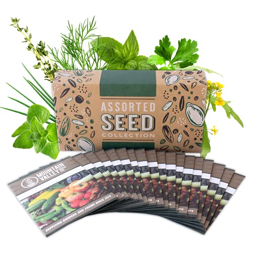 Culinary Herb Seeds Garden Collection | Premium Assortment | 18 Non-GMO Seed Packets: Savory, Mint, Anise, Fennel, Cilantro, Sage, Rosemary, Thyme, Arugula, & More
