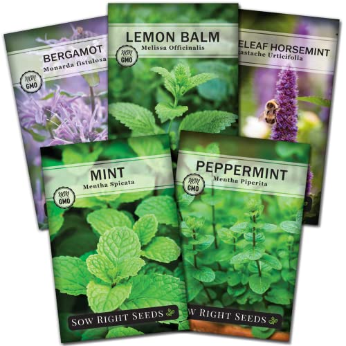 Sow Right Seeds - Mint Garden Seed Collection - Peppermint, Mint, Bergamot, Horsemint, and Lemon Balm - Non-GMO Heirloom Seeds with Instructions for Planting Indoors or Outdoors - Great Gardening Gift