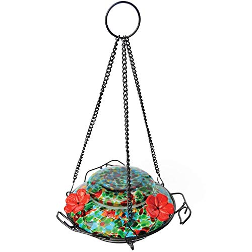 Nature's Way Brid Products WWGHF1 Top Fill Hummingbird Feeder