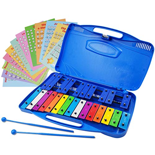 Xylophone 25 Note Colorful Chromatic Glockenspiel in Case Clear Tuned Metal Keys - Card Set w Songs