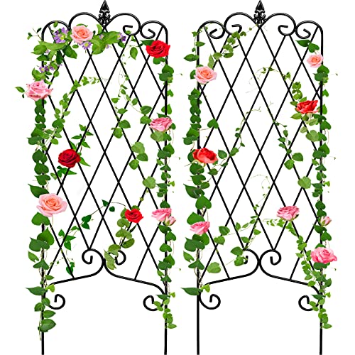 Amagabeli 2 Pack Garden Trellis for Climbing Plants 60" x 18" Rustproof Black Iron Potted Vines Vegetables Vining Flowers Patio Metal Wire