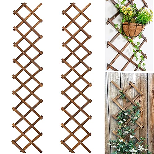 Avalution Extensible Natural Garden Wooden Fence Lattice Frame Plant Support Frame Natural Wooden Lattice Frame for Cucumber Climbing Plant Vines Ivy Rose 75"x11.8" Lattice Fence Panel(2Pack)