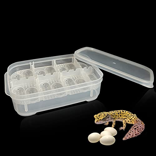 14 Grids Reptile Breeding Box, Egg Hatching Incubator Reptile Incubator for Hatching Egg, Snake, Lizards, Turtle, Lions Mane, Gecko Without Thermometer