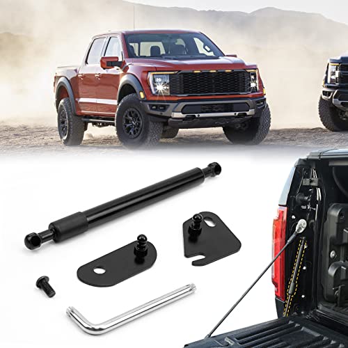 Tailgate Assist Shock for Ford F150 2015-2021, Truck Tailgate Shock Accessories Compatible with 2015 2016 2017 2018 2019 2020 2021 Ford F150 XL XLT Platinum Raptor King Ranch, Ford F150 Accessories