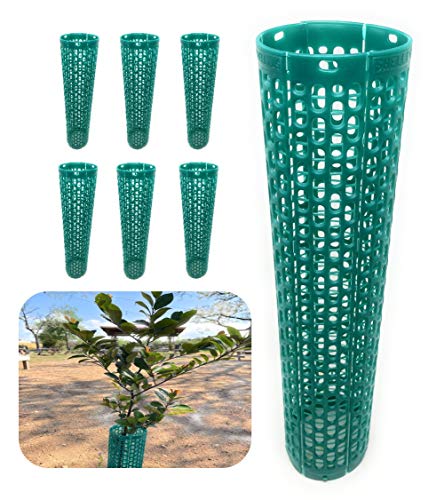 smart spring Plant and Tree Guard Protector; Wrap Tall Expandable Grow Tubes Around Trunk Bark, Landscape Plants, Saplings, and Vines; Protection from Trimmers, Weed whackers, and Animals (6, Green)