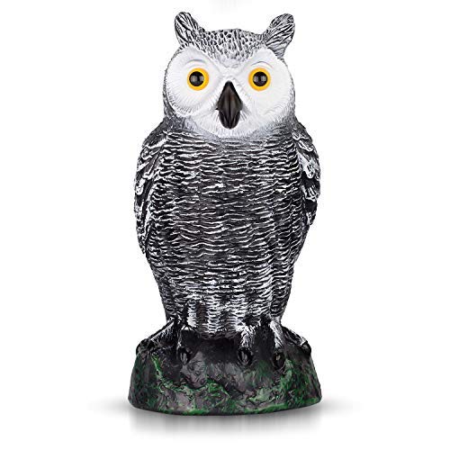 BRITENWAY Ultimate Scarecrow Owl Decoy Statue Realistic Fake Owl Outdoor Bird Deterrent, Hand-Painted Garden Protector, Scares Away Squirrels, Pigeons, Rabbits & More 10,5 Hollow Design