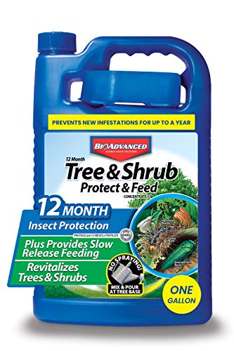 BioAdvanced 12 Month Tree and Shrub Protect and Feed II, Concentrate, 1 Gal