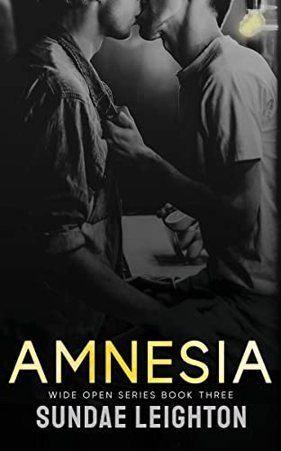 Amnesia (Wide Open Series Book 3)