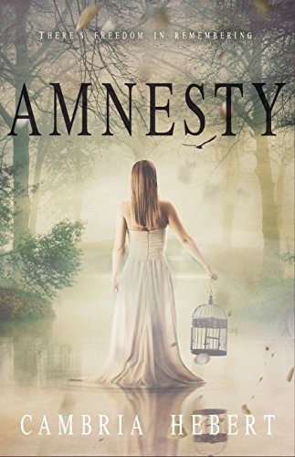 Amnesty: A Mysterious and Thrilling Amnesia Romance (Amnesia Duet Finale)