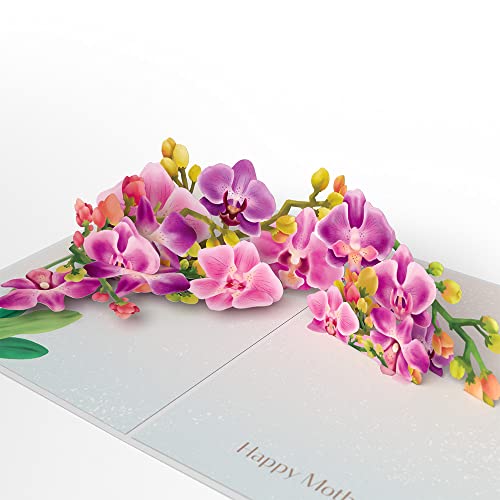 Lovepop Happy Mothers Day Orchid Pop-Up Card, 5 X 7 Pop Up Card, Thoughtful Card for Mom, Pop Up Flowers