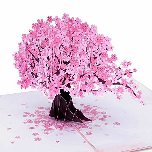 Paper Love 3D Cherry Blossom Pop Up Card, For Valentines, Spring, Mothers Day, All Occasions - 5" x 7" Cover - Includes Envelope and Note Tag