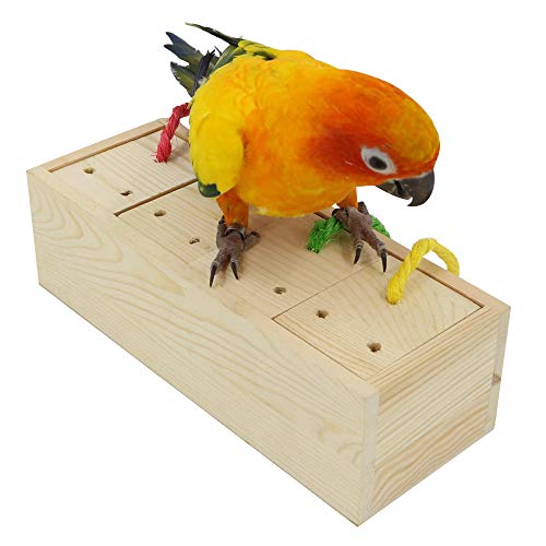 YINGGE Wooden Bird Foraging Feeder Toys, Intelligence Toys for Medium and Large Parrots Sun Conures, Caique, Cockatoo, African Grey, Macaws, Amazon