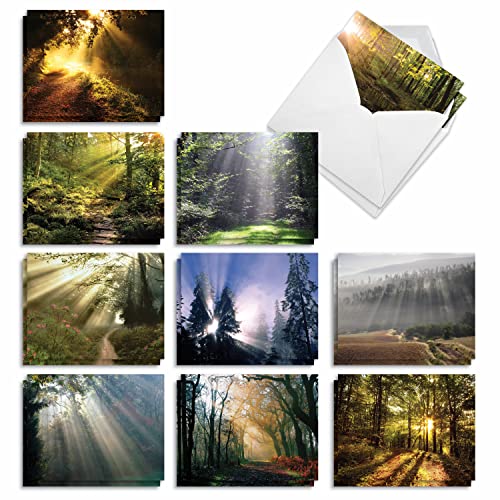 The Best Card Company - 20 Landscape Nature Note Cards Blank (4 x 5.12 Inch) (10 Designs, 2 Each) - Shining Through AM1735OCB-B2x10