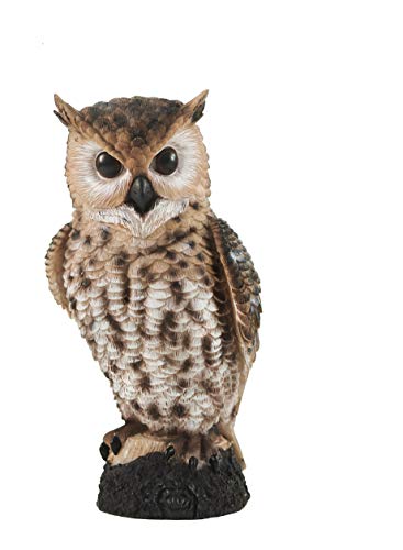 VA Resin Garden Owl Statue, Fake Owl, Fake Statue, Fake Owls, Garden Owl, Owl Dcor, Realistic Owl, Owl Yard Dcor, Owl.