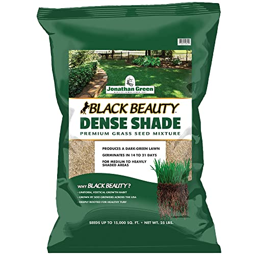 Jonathan Green (10610) Black Beauty Dense Shade Grass Seed - Cool Season Lawn Seed (25 lb)