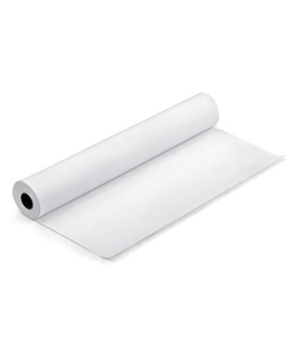 Epson Dye Sublimation 17" x 100' Multi-Use Transfer Paper Roll (S450359)