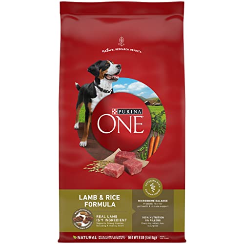 Purina ONE Dry Dog Food Lamb and Rice Formula - 8 lb. Bag