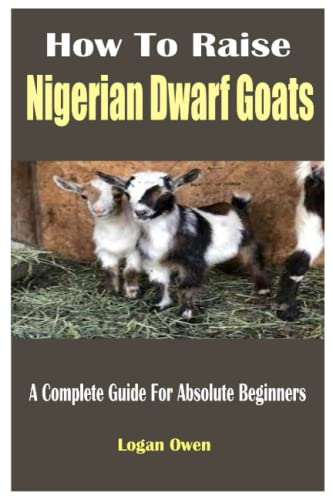 How To Raise Nigerian Dwarf Goats: A Complete Guide For Absolute Beginners