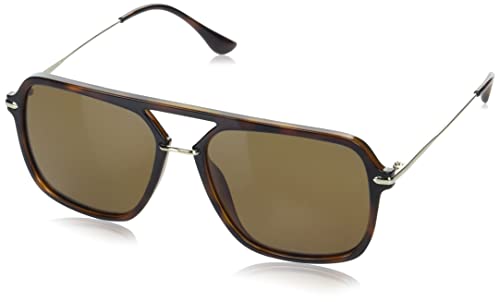 Cole Haan Men's CH8019 Polarized Pilot Sunglasses, Tortoise, One Size