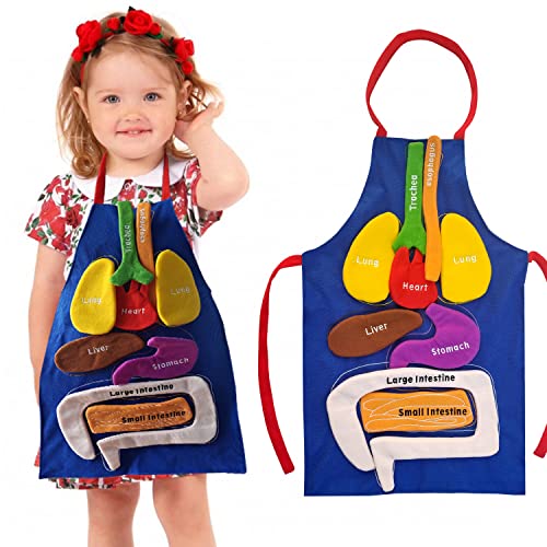 BOCZIF 3D Organ Apron, Human Body Organs Apron Awareness Educational Tool Toy for Kids, Anatomy Costume Apron Plush Stuffed Viscera Model Removable for Home Preschool Early Childhood Teaching Aid