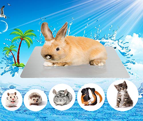 Comtim Rabbits Cooling Mat, Self Cooling Mat Pad for Hamster Guinea Pig Chinchilla Bunny Kitten Cat and Other Small Animals, Pet Cool Plate Ice Bed, Rapid Cooling - Perfect for Hot Summer Weather, M