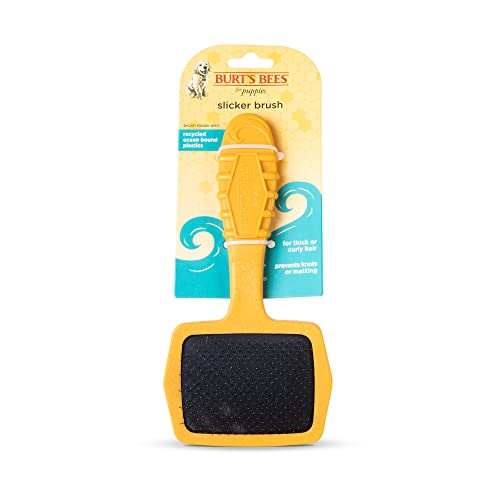 Burt's Bees for Pets Small Slicker Brush for Dogs with Thick or Curly Hair with Handle Made from 100% Ocean Bound Recycled Plastic | De-Shedding Dog Brush Removes Knots and Light Matting