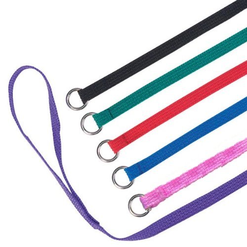 Downtown Pet Supply Slip Lead Dog Leash 12 Pack, 4' x 1/2" - Universal Dog Slip Leash with Metal O Ring - Machine Washable Dog Slip Lead for Groomers, Shelters, Rescues, Vets, or Doggy Daycares