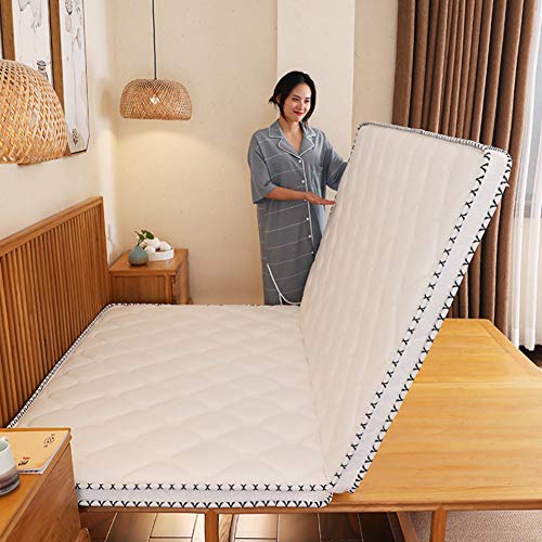Hotel Thicken Folding Mattress, 3e Coconut Palm Mattress Pad Orthopedic Coir Sleeping Mat Firm Feel Quiet Tatami Guest Bed-6cm Queen
