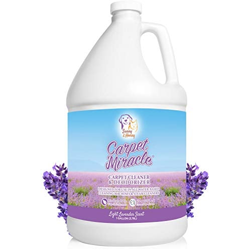 Carpet Miracle - Carpet Cleaner Solution Shampoo for Machine Use, Deep Stain Remover and Odor Deodorizing Formula, Use On Rug Car Upholstery and Carpets (Light Lavender Scent, 1 Gallon)