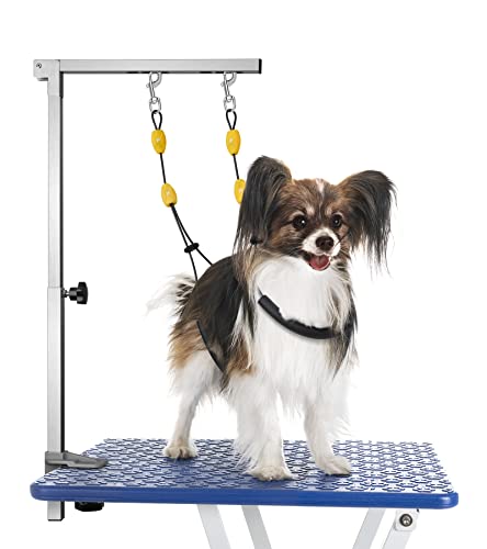 Petbobi Foldable Dog Grooming Arm with Clamp and Dual No Sit Haunch Holder, Height Adjustable 18 to 32 inches, Strong Stainless Steel Pet Grooming Table Arm Overhead for Small Pets