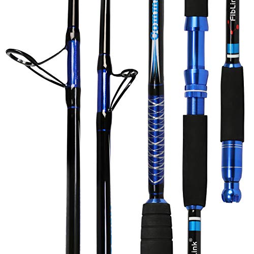 Fiblink Saltwater Fishing Rod Carbon Fiber Jigging Rod with 2 Piece Twin-Tip Spinning & Casting Portable Travel Fishing Jig Rod (Twin-tip-6'-Spinning & Casting-2pcs)