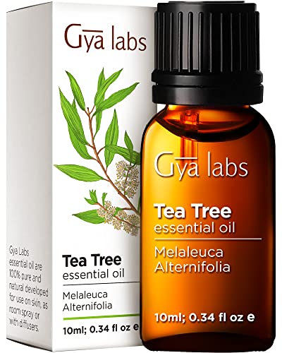 Gya Labs Pure Australian Tea Tree Oil for Skin, Hair, Face & Toenails (0.34 fl oz) - 100% Therapeutic Natural Melaleuca Tea Tree Essential Oil for Piercings, Scalp & Hair Growth