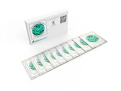 Yogurt Starter Cultures - Pack of 10 Freeze-dried Culture Sachets for Bifido Yogurt (10)