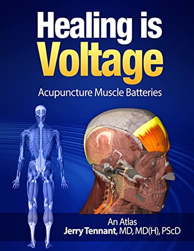 Healing is Voltage: Acupuncture Muscle Batteries