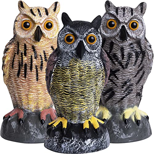 Galashield Owl Decoys to Scare Birds Away | Plastic Owls to Scare Birds Away | Owl Statue for Garden & Outdoors [Set of 3]