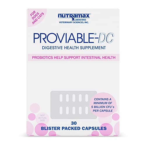 Nutramax Proviable Digestive Health Supplement Multi-Strain Probiotics and Prebiotics for Cats and Dogs - With 7 Strains of Bacteria, 30 Capsules