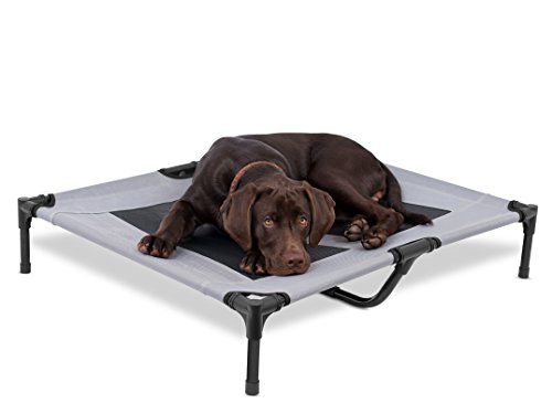 Internet's Best Dog Cot - 36 x 30 - Elevated Dog Bed - Cool Breathable Mesh - Indoor or Outdoor Use - Medium - Grey