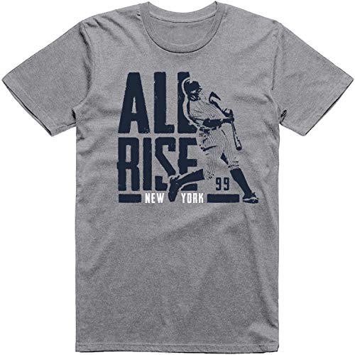Wishful Inking New York Baseball Fans All Rise for The Judge Classic Dri-Power Adult T-Shirt (Heather Grey, L)