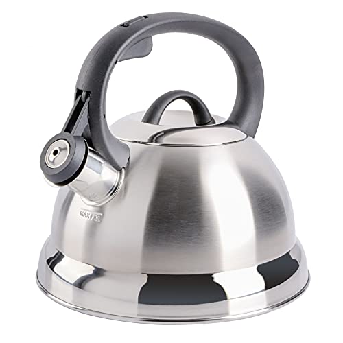 Mr. Coffee Flintshire Stainless Steel Whistling Tea Kettle, 1.75-Quart, Brushed Satin